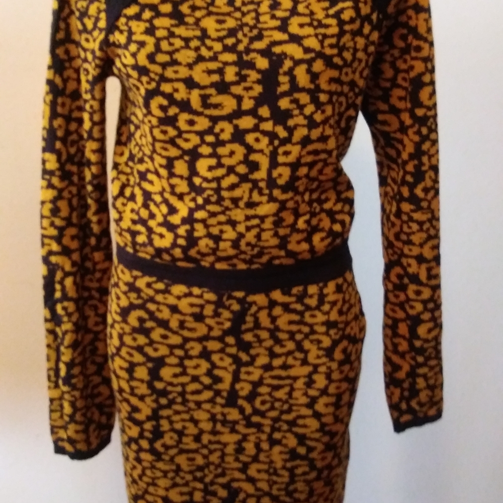 2 piece Animal print sweater dress